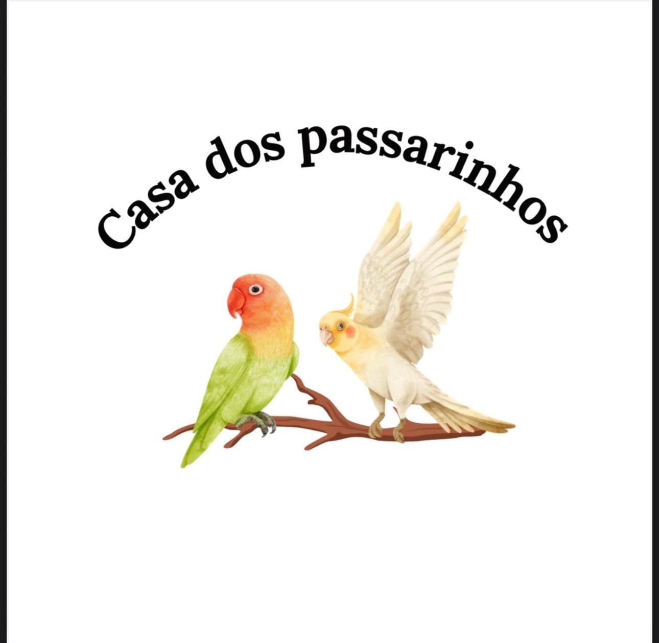 Casa Dos Passarinho'S , Lagos Exteriér fotografie